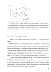 Kabotažo proceso optimizavimas 18 puslapis