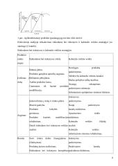 Kabotažo proceso optimizavimas 9 puslapis