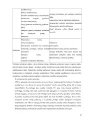 Kabotažo proceso optimizavimas 10 puslapis