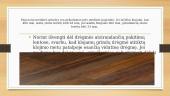 Medienos gaminiai grindims 13 puslapis