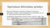 Medienos gaminiai grindims 14 puslapis