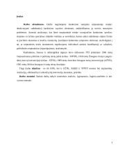 Kankinimo, žiauraus ir nežmoniško elgesio reglamentavimas 2 puslapis