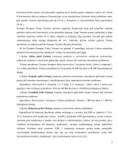 Kankinimo, žiauraus ir nežmoniško elgesio reglamentavimas 5 puslapis