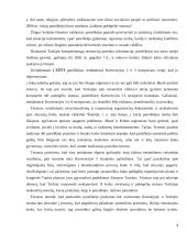 Kankinimo, žiauraus ir nežmoniško elgesio reglamentavimas 8 puslapis