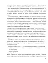 Kankinimo, žiauraus ir nežmoniško elgesio reglamentavimas 9 puslapis