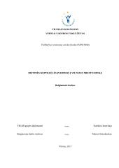 Dietinės kepyklėlės įvedimas į Vilniaus miesto rinką