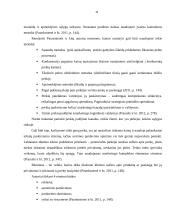 Dietinės kepyklėlės įvedimas į Vilniaus miesto rinką 11 puslapis