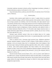 Dietinės kepyklėlės įvedimas į Vilniaus miesto rinką 13 puslapis