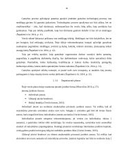 Dietinės kepyklėlės įvedimas į Vilniaus miesto rinką 14 puslapis