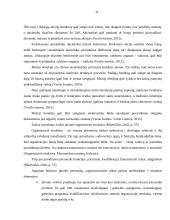 Dietinės kepyklėlės įvedimas į Vilniaus miesto rinką 15 puslapis