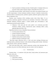 Dietinės kepyklėlės įvedimas į Vilniaus miesto rinką 16 puslapis