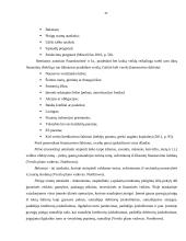 Dietinės kepyklėlės įvedimas į Vilniaus miesto rinką 17 puslapis