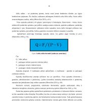 Dietinės kepyklėlės įvedimas į Vilniaus miesto rinką 18 puslapis