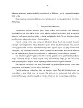 Dietinės kepyklėlės įvedimas į Vilniaus miesto rinką 19 puslapis