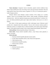 Dietinės kepyklėlės įvedimas į Vilniaus miesto rinką 5 puslapis