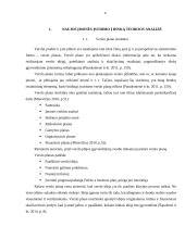 Dietinės kepyklėlės įvedimas į Vilniaus miesto rinką 6 puslapis