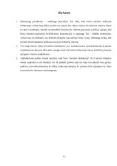 Darbuotojų parinkimas 13 puslapis