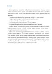 Kartografinių ženklų suvokimo ypatumai 2 puslapis