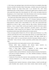 Kartografinių ženklų suvokimo ypatumai 13 puslapis