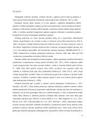 Kartografinių ženklų suvokimo ypatumai 16 puslapis