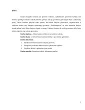 Karjeros vadyba 2 puslapis