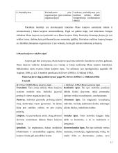 Karjeros vadyba 11 puslapis