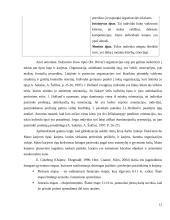 Karjeros vadyba 12 puslapis