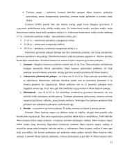 Karjeros vadyba 13 puslapis