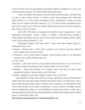 Karjeros vadyba 15 puslapis