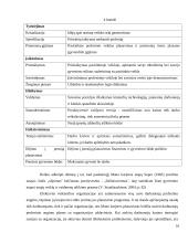 Karjeros vadyba 16 puslapis