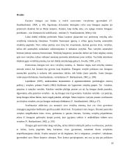 Karjeros vadyba 18 puslapis