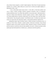 Karjeros vadyba 19 puslapis