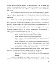 Karjeros vadyba 4 puslapis