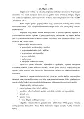 Valstybinės reikšmės kelio nr. 2608 Jucevičiai-Būdvietis-Derviniai ruožo nuo 5,7 iki 9,00 km rekonstrukcijos projektas 19 puslapis