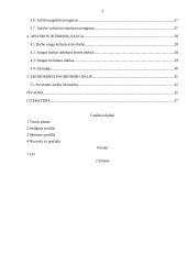 Valstybinės reikšmės kelio nr. 2608 Jucevičiai-Būdvietis-Derviniai ruožo nuo 5,7 iki 9,00 km rekonstrukcijos projektas 4 puslapis