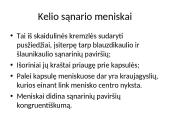 Kelio sąnario biomechanika  12 puslapis