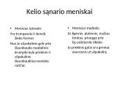 Kelio sąnario biomechanika  13 puslapis