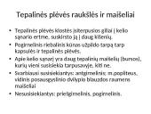 Kelio sąnario biomechanika  15 puslapis