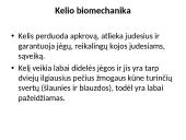 Kelio sąnario biomechanika  19 puslapis