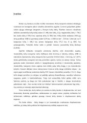 Kelio dangos konstrukcijos sudėtis 2 puslapis