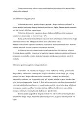 Kelio dangos konstrukcijos sudėtis 17 puslapis