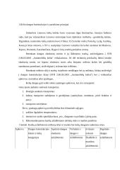 Kelio dangos konstrukcijos sudėtis 3 puslapis