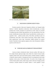 Kiaulių veislininkystės darbo organizavimas pramoninėje kiaulininkystėje 15 puslapis