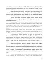 Kineziterapijos poveikis skausmui ir juosmens funkcinei buklei esant juosmens dalies radikalopatijai 11 puslapis