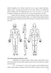 Kineziterapijos poveikis skausmui ir juosmens funkcinei buklei esant juosmens dalies radikalopatijai 10 puslapis