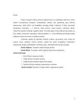 Transporto tinklo Kinijoje analizė 2 puslapis