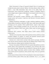 Transporto tinklo Kinijoje analizė 12 puslapis