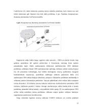 Transporto tinklo Kinijoje analizė 13 puslapis