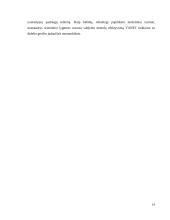 Transporto tinklo Kinijoje analizė 14 puslapis