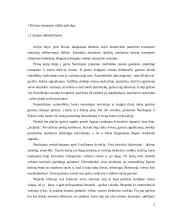 Transporto tinklo Kinijoje analizė 3 puslapis